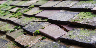 Llansoy roof repair costs